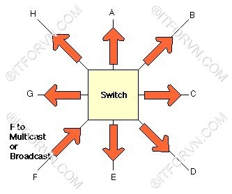 Host F gửi một broadcast đến Switch - [Tự Học CCNA] – Bài 5: Ethernet LAN và hoạt động chuyển mạch