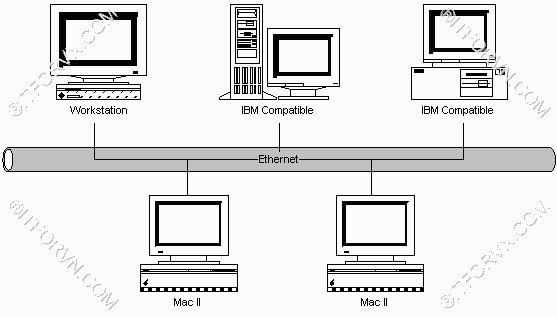 Mô hình bus trong Ethernet LAN - [Tự Học CCNA] – Bài 5: Ethernet LAN và hoạt động chuyển mạch