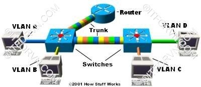 Mô hình VLAN, Trunking, VTP Tự Học CCNA Bài 6: VLAN, Trunking, VTP